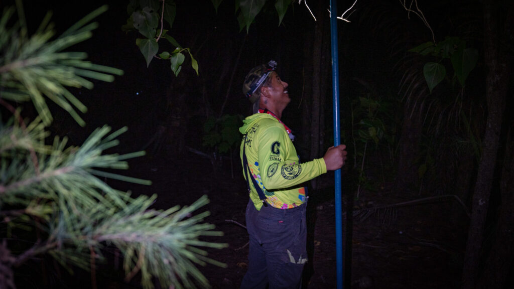 Matthew Pangelinan with a tool used to pull brown tree snakes out of trees.