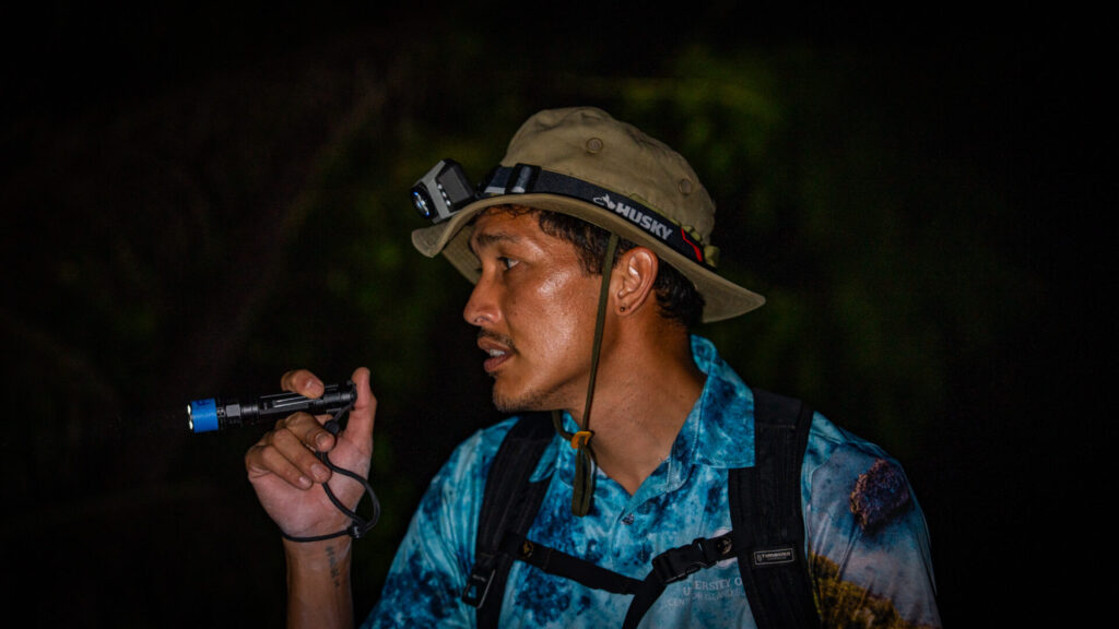 Joey Certeza uses a flashlight to scan from brown tree snakes.