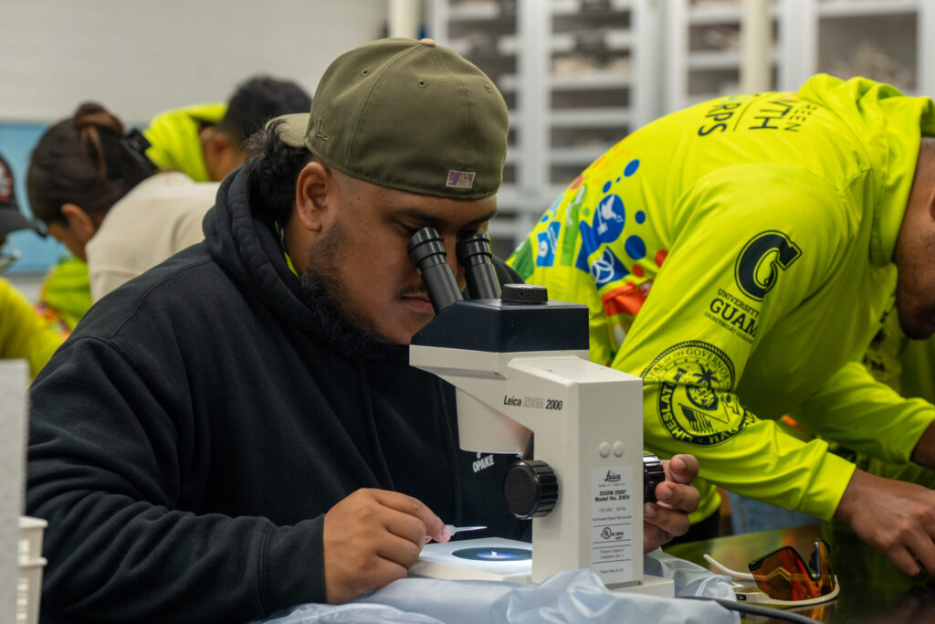 Curtis Bukikosa examines an otolith to determine the sex of the fish it was extracted from.