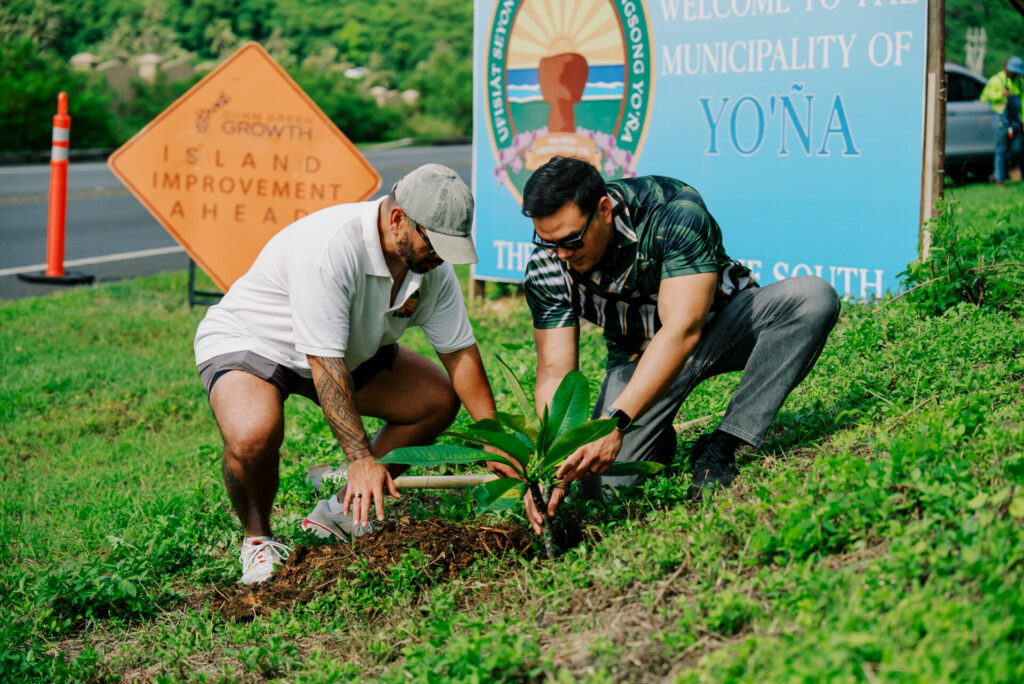 Austin Shelton Ph.D. and Mayor BJ Terlaje work together to plant a plumeria along the cliff side of Yoña.  This special tree planting project was a part of the Guam Green Growth Conservation Corps’ island beautification program.  Every week, the Corps hosts a beautification project in a different village including cleanups, restorations, paintings and more.