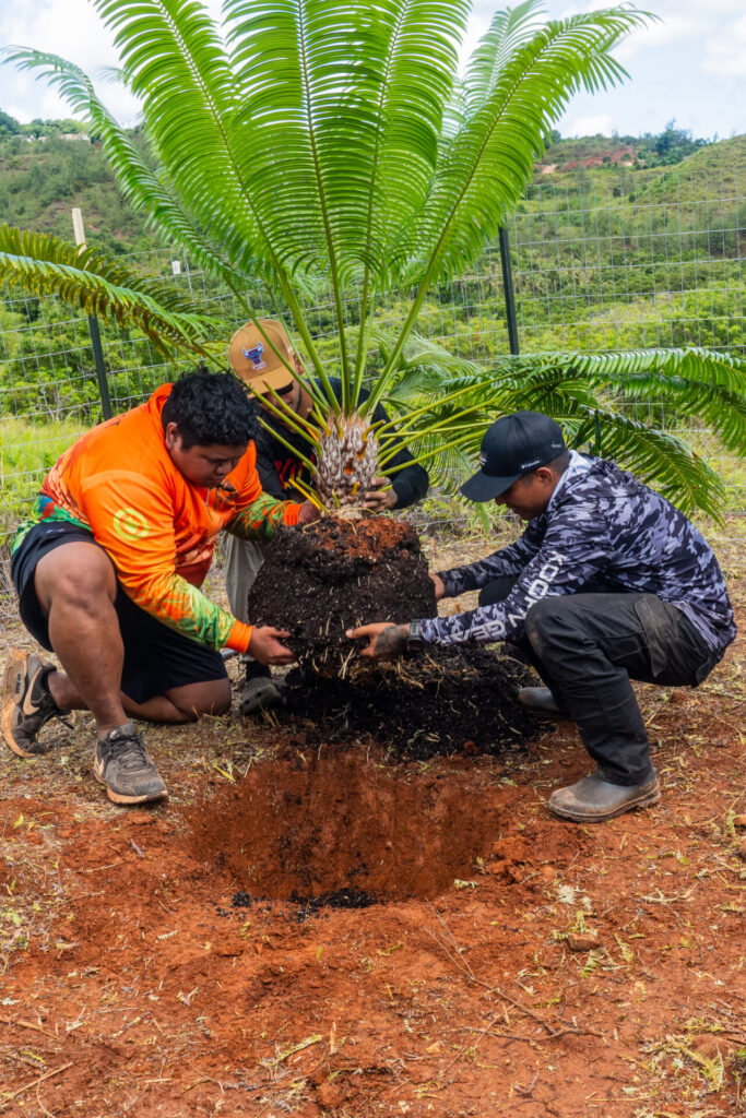 UOG Center for Island Sustainability and Sea Grant’s Island Conservation Lab team members plant the third fadang at the Atantåno Heritage Preserve. The August activity was organized by UOG CIS & Sea Grant’s ICL in partnership with the Guam Preservation Trust (GPT) and the U.S. Fish and Wildlife Service (USFWS).