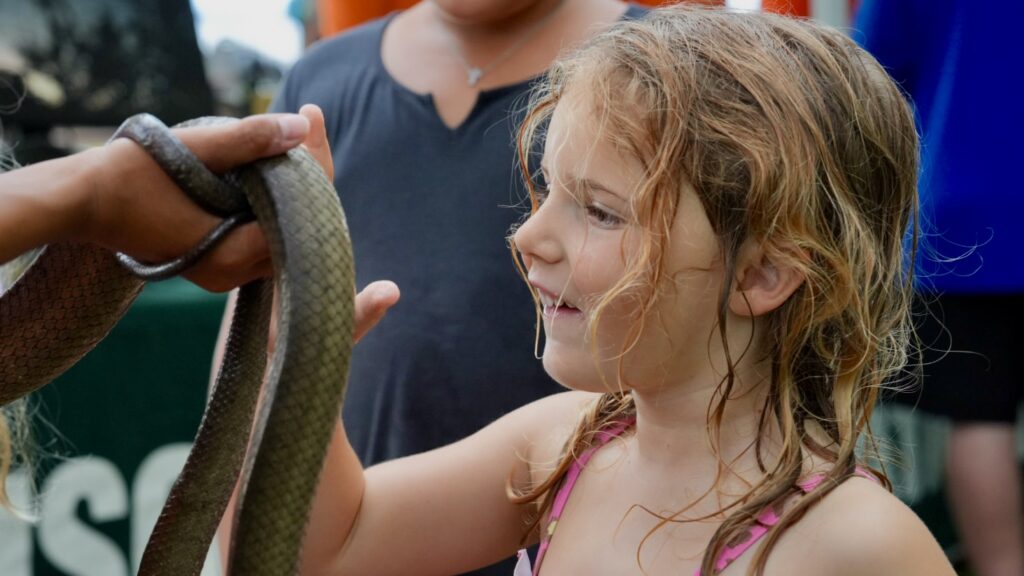 Participants in the UOG CIS and Sea Grant and NAVFAC Brown Tree Snake workshop learned about the need and importance of the prevention of the spread of the BTS to other islands in the Marianas and beyond. They got to see and touch the invasive species and learn about the impact they have had on Guam’s ecosystems.