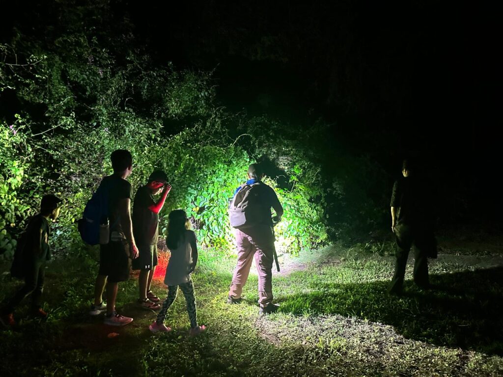 Along with the workshop held in the daytime, interested participants were welcomed to join in a snake hunt. The nocturnal creatures have been credited with the downfall of 13 of the 21 native bird species on the island.