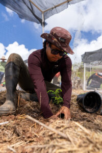 Picture of UOG CIS member planting endangered plant.