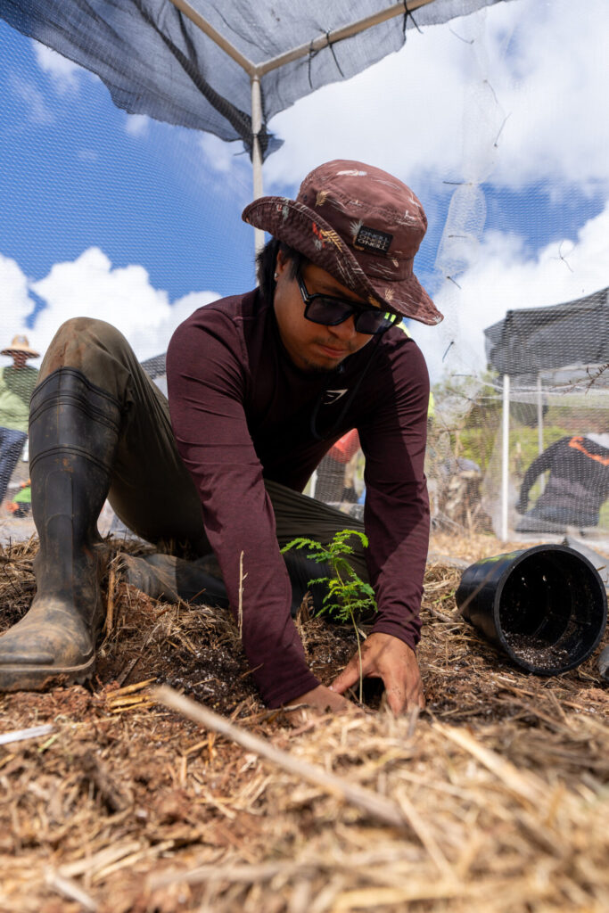 Picture of UOG CIS member planting endangered plant.