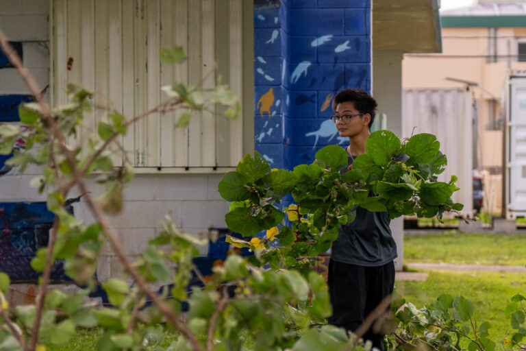 A young person wearing glasses and dark clothing carries a large armful of leafy green branches during post-typhoon cleanup efforts outside a building featuring a blue marine-themed mural.