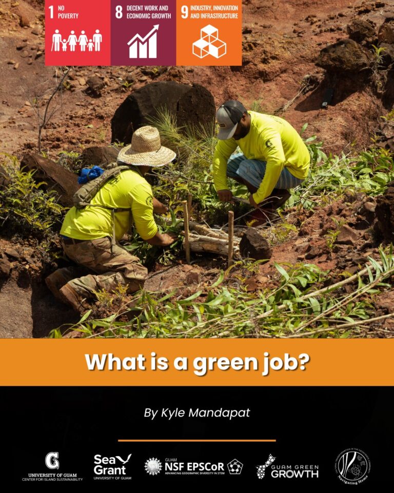 What is a Green Job face