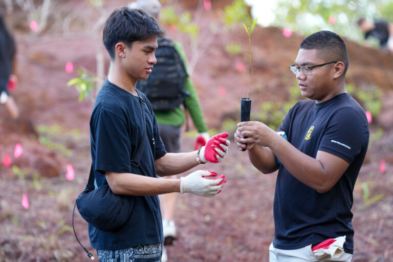 A team member handing a potted plant seedling to a youth volunteer wearing gloves.